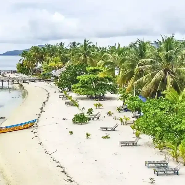 Explore Arborek Island: A Hidden Gem in Raja Ampat