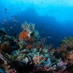 9D8N itinerary Raja Ampat